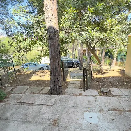 Pinus Village Fort Village